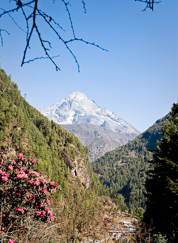 View up the Dudh Koshi with rhododendrons and Khumbila (18,800') in the distance