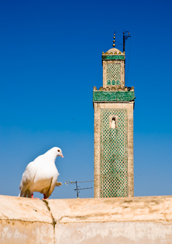 From the top of Nejjarine Museum, Fez