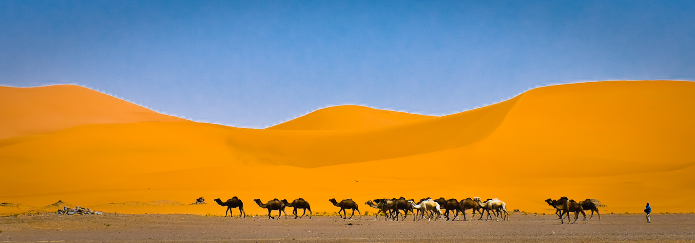 At the edge of Erg Chebbi