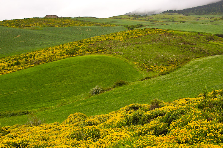 Rolling Hills west of Pamplona